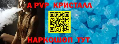 spice Кингисепп