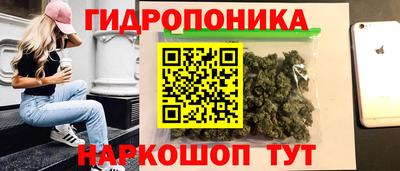 тгк Кимры
